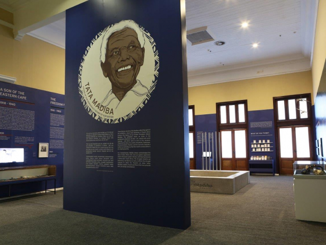 Tata Madiba by Iziko
