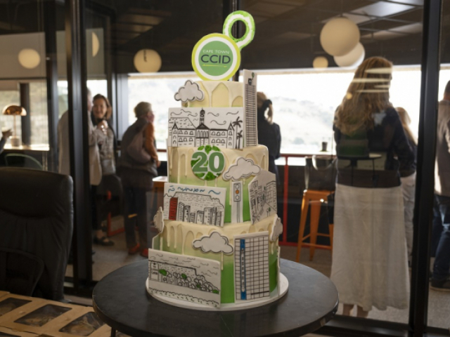 CCID 20 year cake at AGM