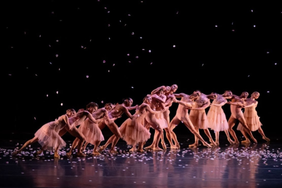 Cape Ballet Africa